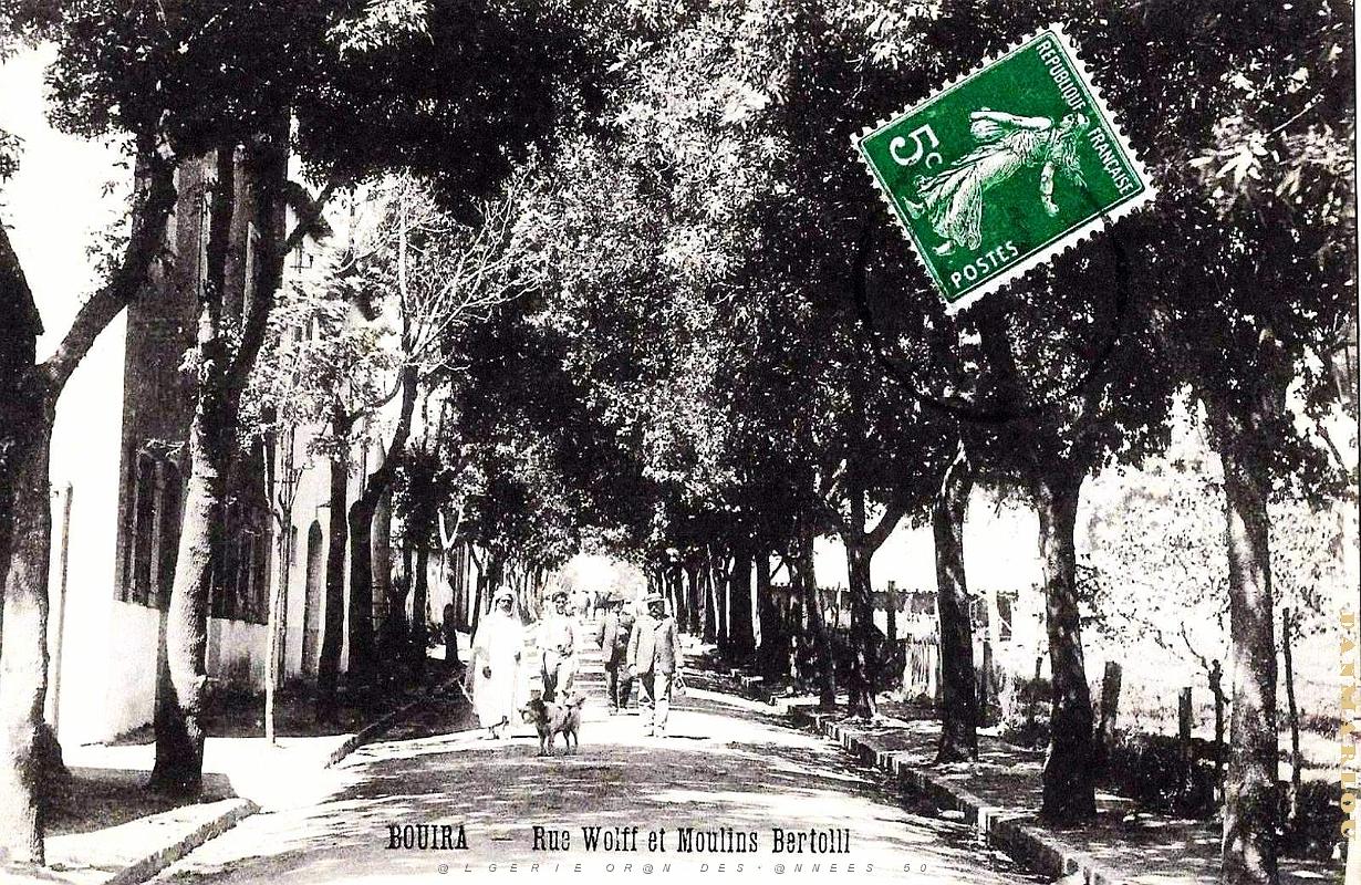 Bouira - Rue Wolf et Moulins Bartolli.jpg